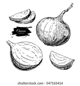 Onion hand drawn vector set. Full, half and  cutout slice. Isolated Vegetable engraved style object. Detailed vegetarian food drawing. Farm market product. Great for menu, label, icon