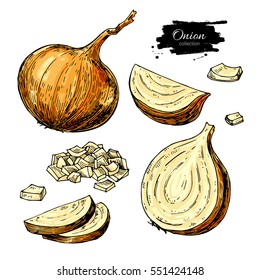 Onion hand drawn vector set. Full, half and  cutout slice. Isolated Vegetable artistic style object. Detailed vegetarian food drawing. Farm market product. Great for menu, label, icon