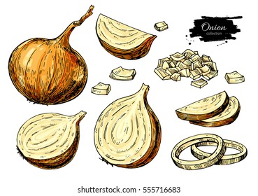 Onion hand drawn vector set. Full, rings and Half cutout slice. Isolated Vegetable artistic style object. Detailed vegetarian food drawing. Farm market product. Great for menu, label, icon