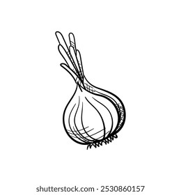 Onion Hand-Drawn Food Vector Icon