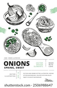 Onion heads and rings, spring and chopped onion on a white field. Outline hand drawn vector illustration. Vintage kitchen background. Isolated hatching black objects. Set of doodle images.