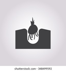 Onion icon. 