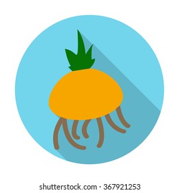Onion icon.