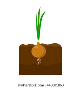 Onion icon cartoon. 