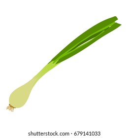 Onion icon. Cartoon illustration of onion vector icon for web