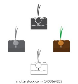 Onion icon cartoon,black. Single plant icon from the big farm, garden, agriculture cartoon,black.