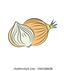Onion Icon Colored Vector Illustration
