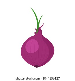 Onion icon in a flat design on a white background. Vector illustration