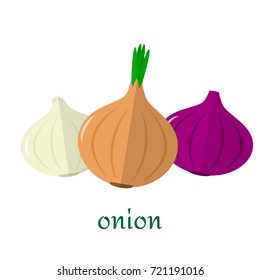 Onion icon in flat style isolated on white background. Onion icon in flat style. Isolated object, logo. Vegetable from the farm. Organic food. Vector illustration.