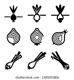 onion icon isolated sign symbol vector illustration - Collection of high quality black style vector icons

