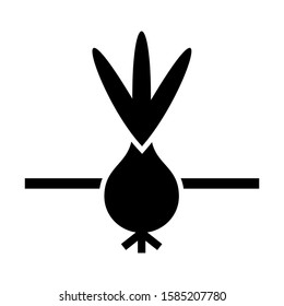 onion icon isolated sign symbol vector illustration - high quality black style vector icons
