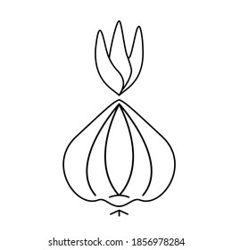 Onion icon line design vector illustration design