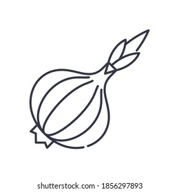 Onion icon, linear isolated illustration, thin line vector, web design sign, outline concept symbol with editable stroke on white background.