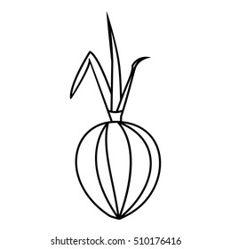 Onion icon. Outline illustration of onion vector icon for web