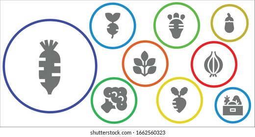 onion icon set. 9 filled onion icons.  Simple modern icons such as: Radish, Turnip, Broccoli, Spinach, Onion, Aubergine, Vegetables