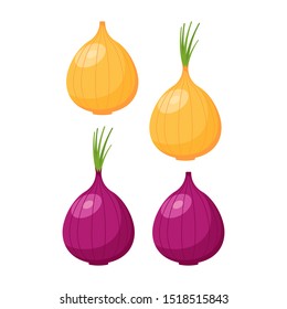 Onion icon set isolated on white background. Vector illustration. Eps 10.