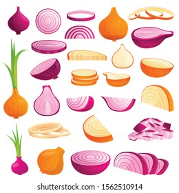 Onion icons set. Cartoon set of onion vector icons for web design