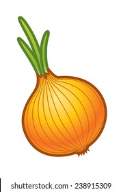 Onion illustration