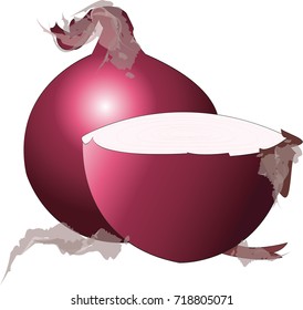 onion illustration