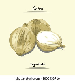 Onion Illustration, Ingredients For Cooking Some Food, Sketch & Vector Style Isolated On Yellow Background