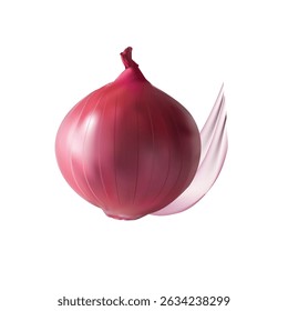desenho de vetor de ilustração de cebola sobre fundo branco vol 01