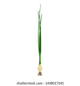 Onion illustration vector food vegetable isolated healthy vegetarian ingredient nature. Fresh organic plant raw. Yellow farm salad