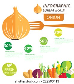 onion , infographics. vegetables vector illustration