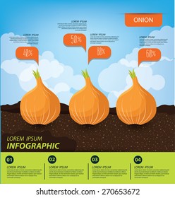 onion , infographics. vegetables vector illustration