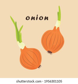 Cebolla aislada en un fondo blanco. Ilustración vectorial.