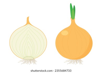 Onion isolated on white background.