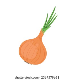 Cebolla aislada en un fondo blanco. Diseño para uso de ilustraciones vectoriales y diseño simple.