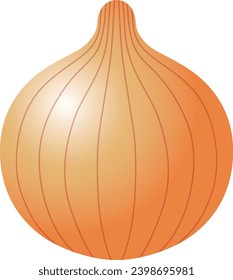 Die Zwiebel einzeln auf weißem Hintergrund