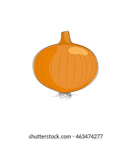 Onion Isolated on White Background, One Whole Onion Standing , Vector Illustration