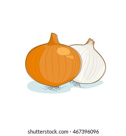 Onion Isolated on White, One Whole Onion and Sliced Onion , Vector Illustration