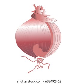 Onion Isolated on a white. Vegetable.