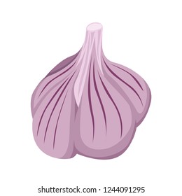 Onion Isolated Vector Illustration