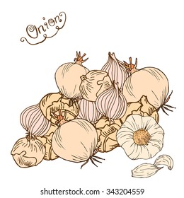 Onion label. Various onion illustration