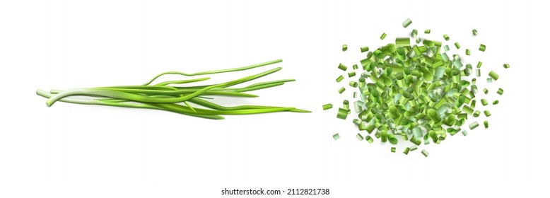Onion leaves and chopped green chive isolated on white background. Vector realistic set of 3d fresh verdure bunch and pile of cut pieces of green garlic or scallion svg