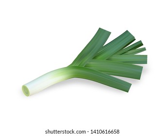 Onion leek. Ripe green vegetable. Natural food. Organic product for salad. Healthy meal. Isolated white background. Eps10 vector illustration.