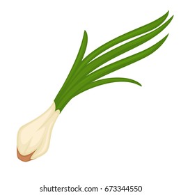Onion leek vegetable or culinary herb spice vector flat icon