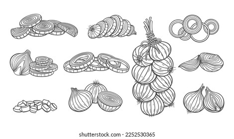 Los iconos de línea de cebolla establecen la ilustración vectorial. Bombilla de cebolla entera con hoja y cáscara dibujada a mano, cortada en mitad y rodajas, anillos y trozos, ingrediente alimentario crudo picado para ensalada o sopa de cocina