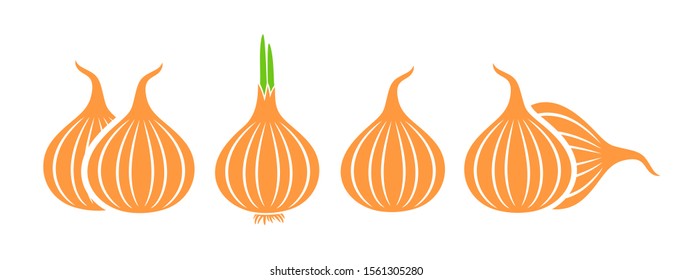 Onion logo. Isolated onion on white background