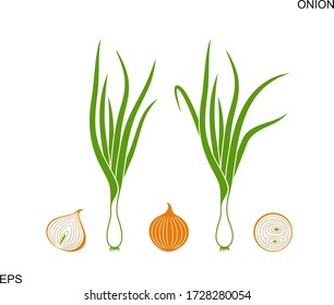 Onion logo. Isolated onion on white background