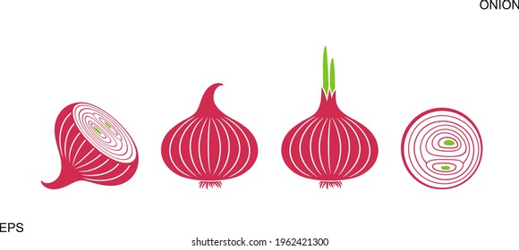 Onion logo. Isolated onion on white background