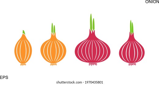 Onion logo. Isolated onion on white background