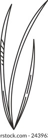 Onion Micro Greens Sketch Vector Illustration