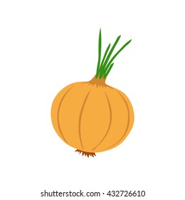 Onion. Object isolated on white background. Vector illustration.
