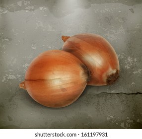 Onion old style vector