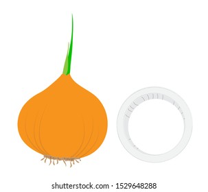 Onion on isolated white background.