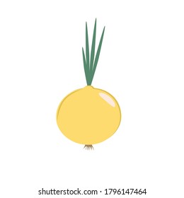 Cebolla sobre un fondo blanco. Ilustración.